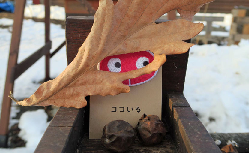 私たちについて