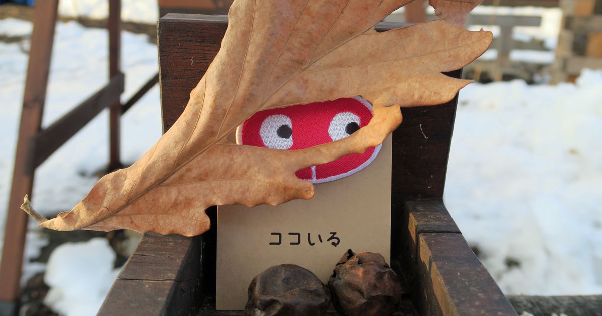 YeLL(いぇーる)in とかち 北海道小児等在宅医療連携拠点事業 地域拠点事業